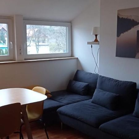 Apartment Na Gruszy Stronie Śląskie المظهر الخارجي الصورة